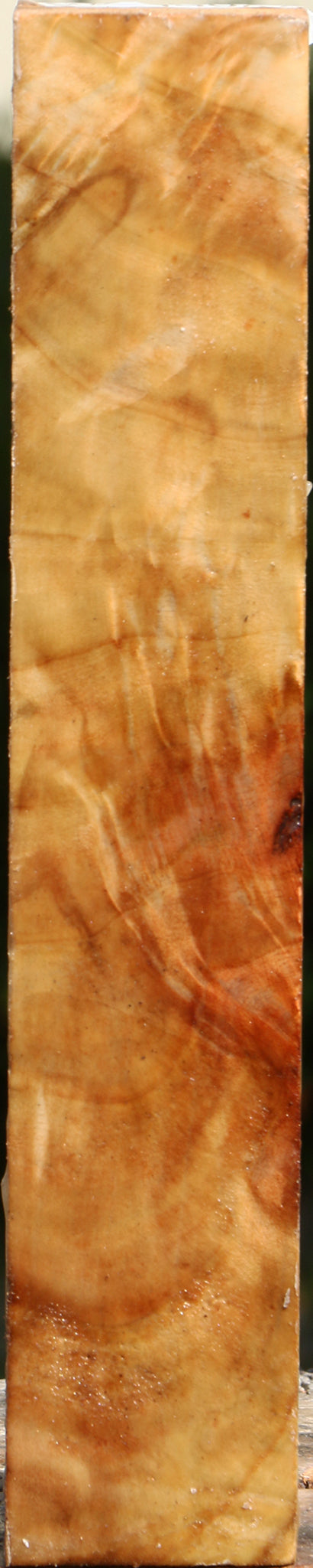 Extra Fancy Black Cottonwood Turning Square
