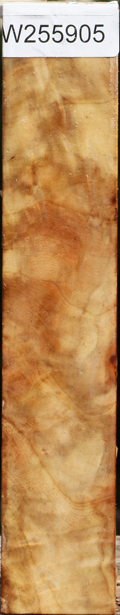 Extra Fancy Black Cottonwood Turning Square