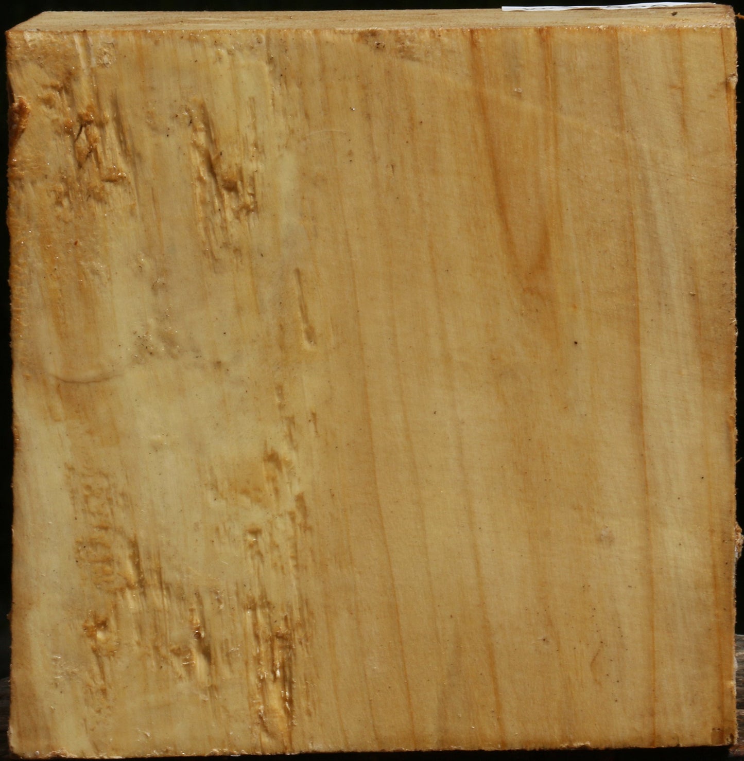 Black Cottonwood Bowl Blank