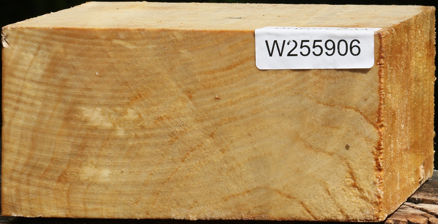 Black Cottonwood Bowl Blank