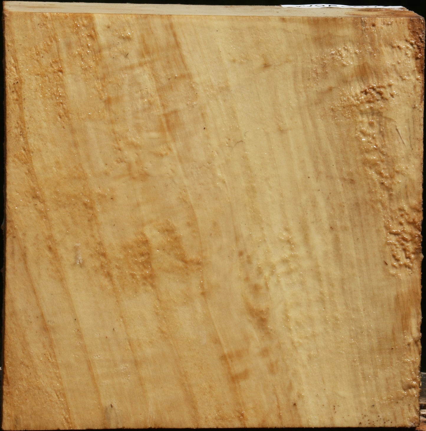 Black Cottonwood Bowl Blank