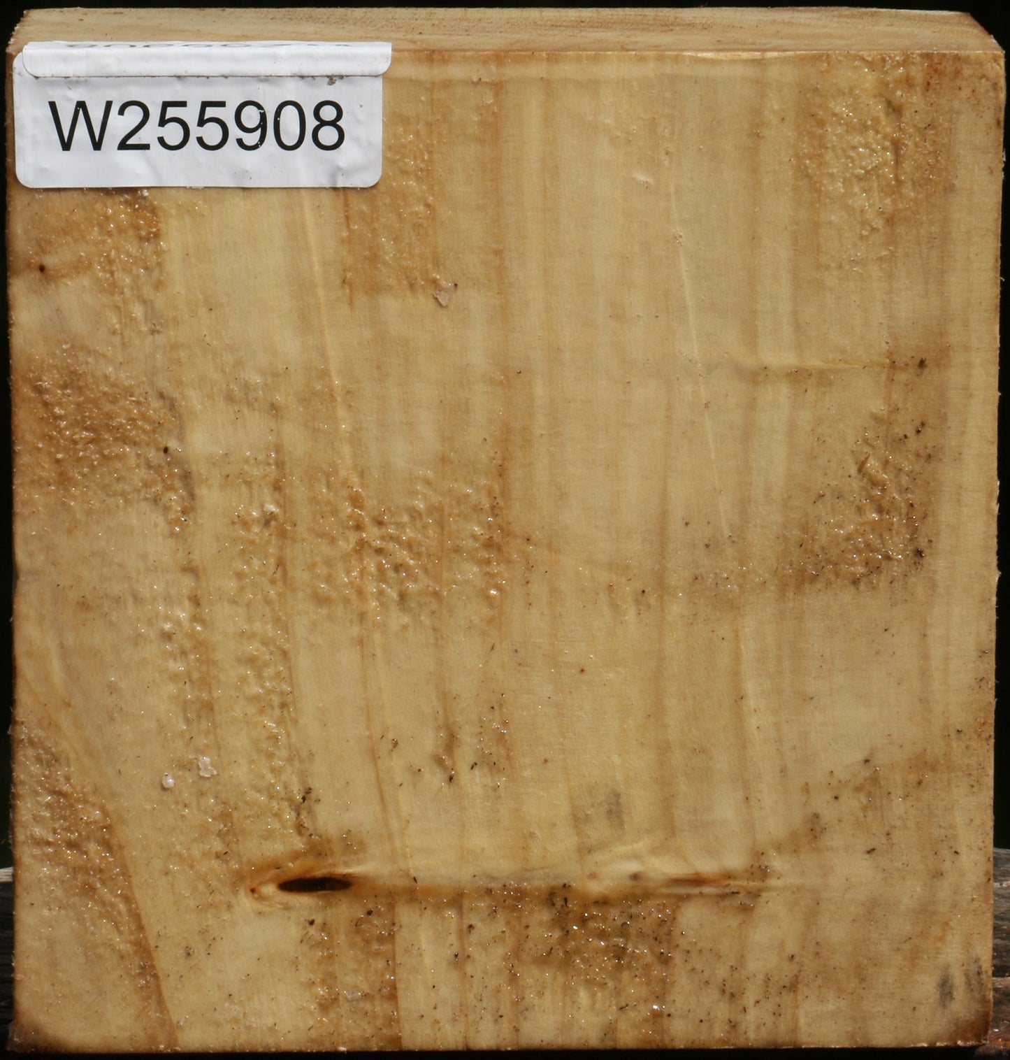 Black Cottonwood Bowl Blank