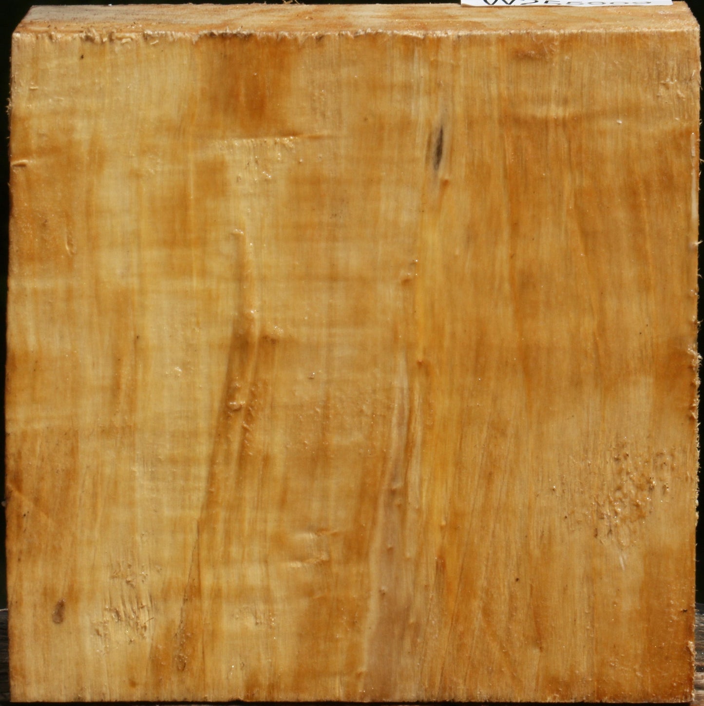 Figured Black Cottonwood Bowl Blank