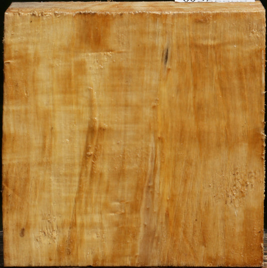 Figured Black Cottonwood Bowl Blank