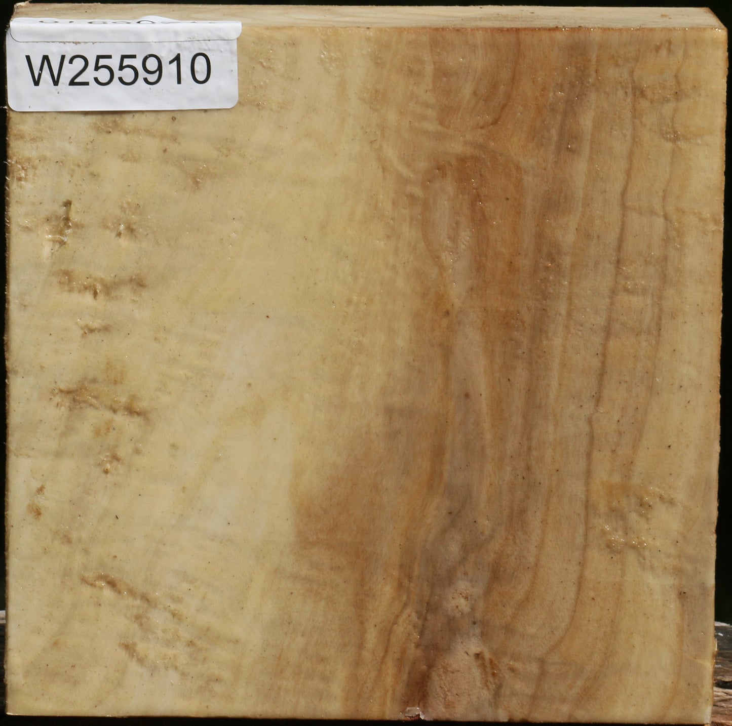 Figured Black Cottonwood Bowl Blank