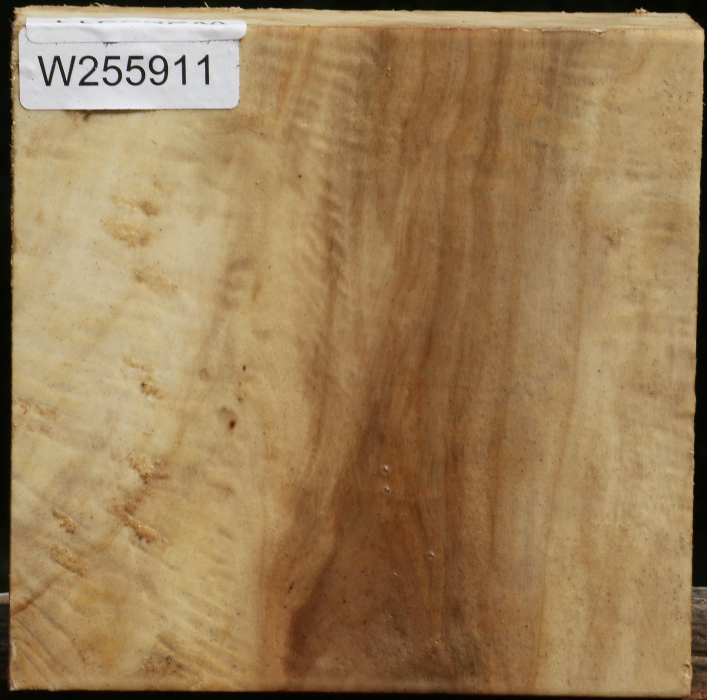 Figured Black Cottonwood Bowl Blank
