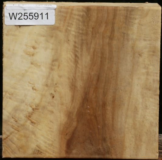 Figured Black Cottonwood Bowl Blank