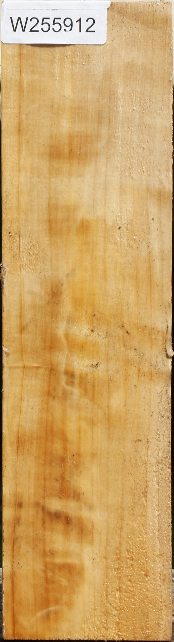 Black Cottonwood Vessel Blank