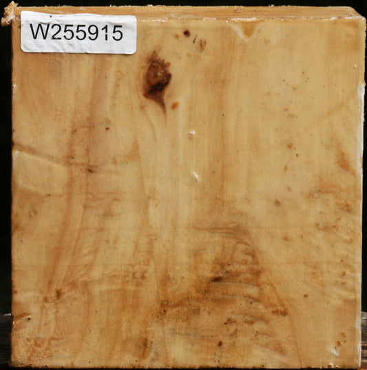 Black Cottonwood Bowl Blank