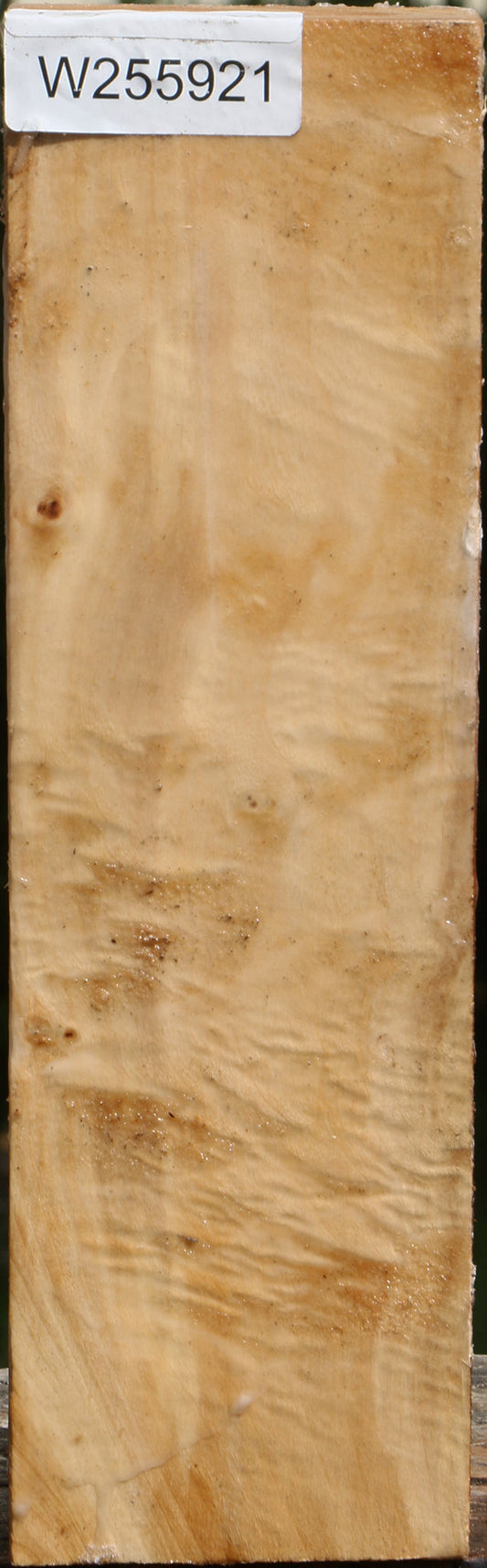 Figured Black Cottonwood Turning Blank