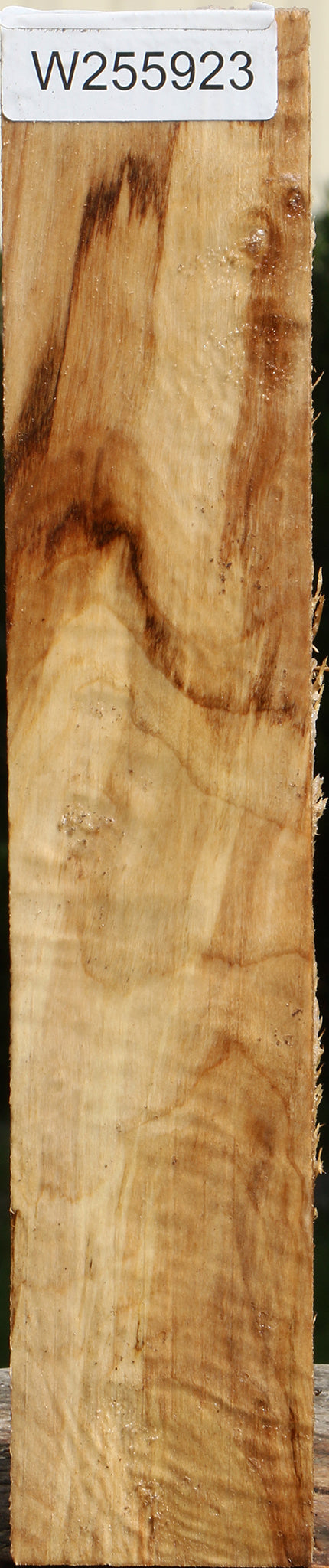 Figured Black Cottonwood Peppermill