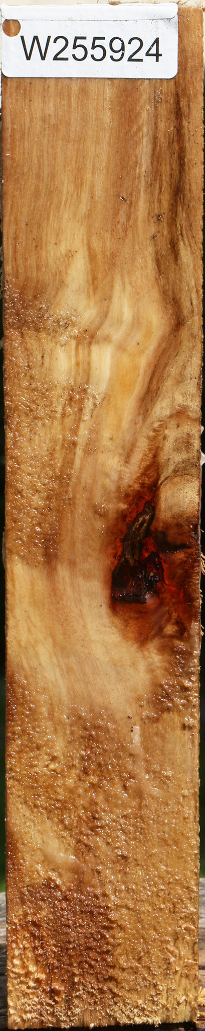 Figured Black Cottonwood Peppermill