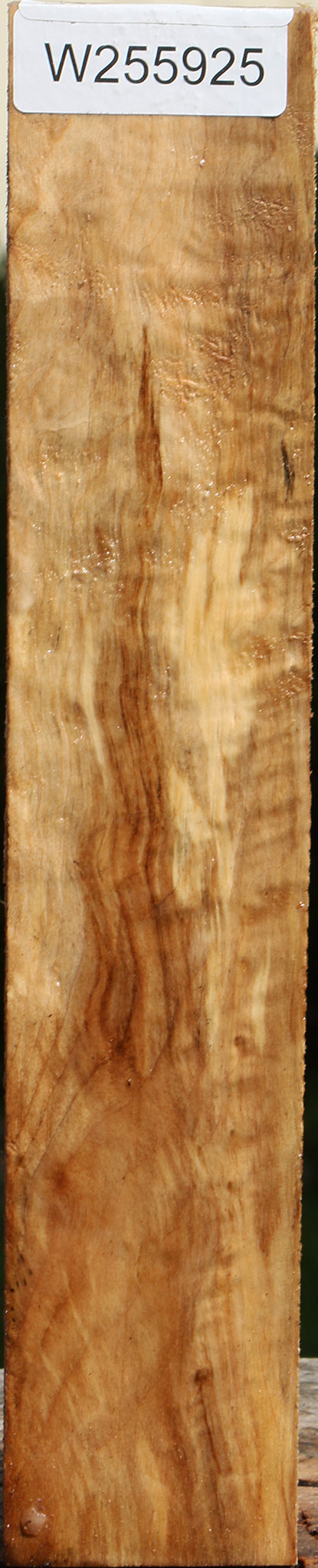 Figured Black Cottonwood Peppermill
