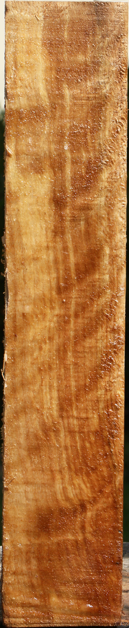 Figured Black Cottonwood Peppermill