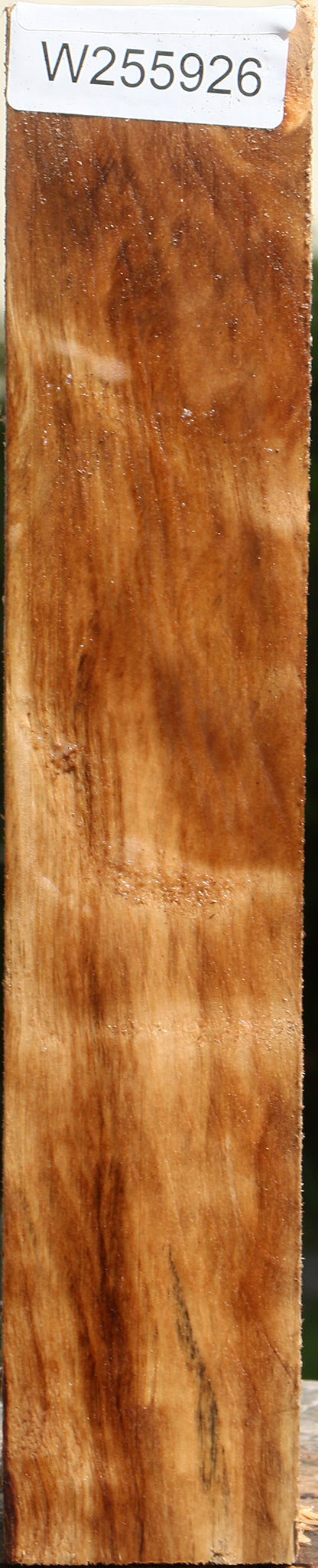 Black Cottonwood Peppermill