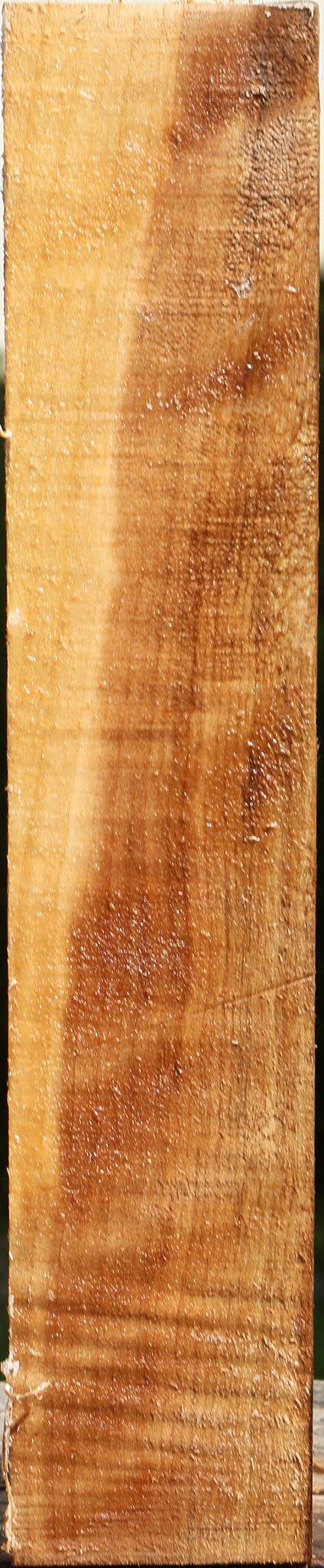 Black Cottonwood Peppermill