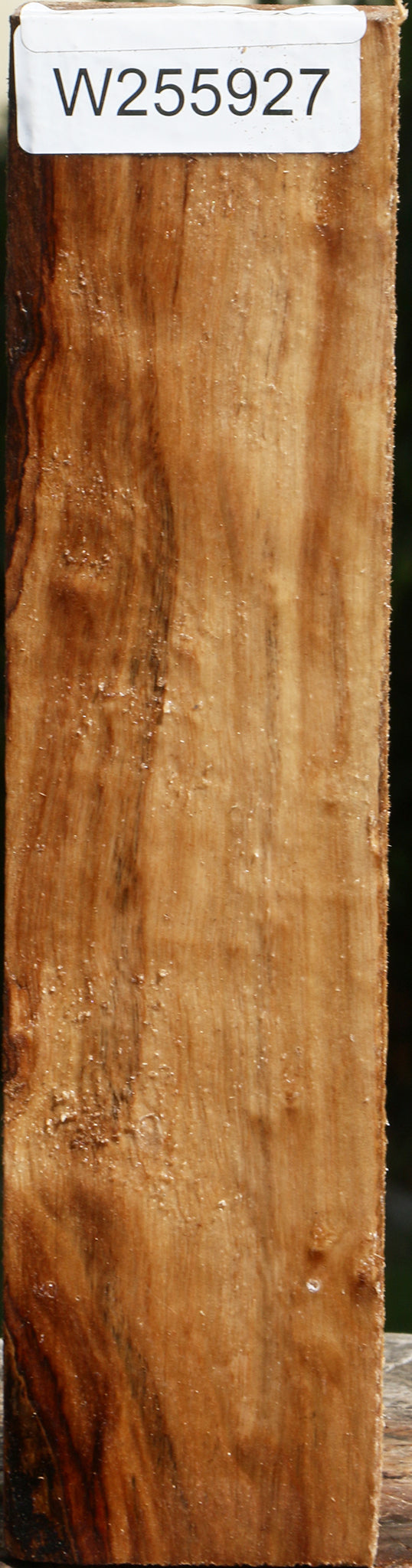 Black Cottonwood Peppermill