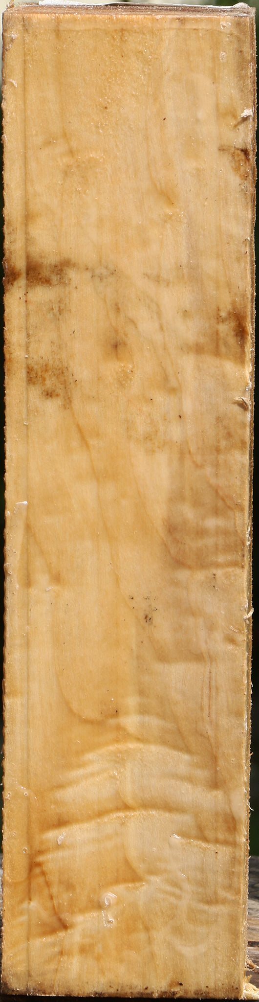 Black Cottonwood Peppermill