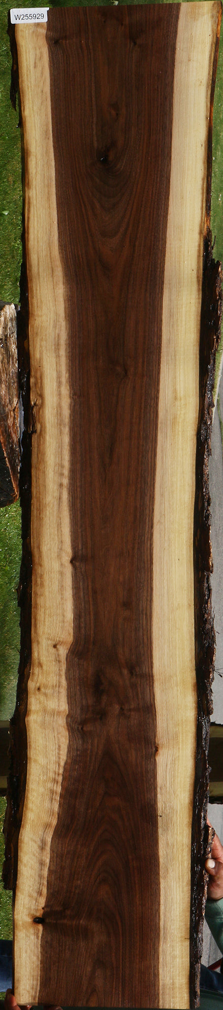 Claro Walnut Live Edge Lumber
