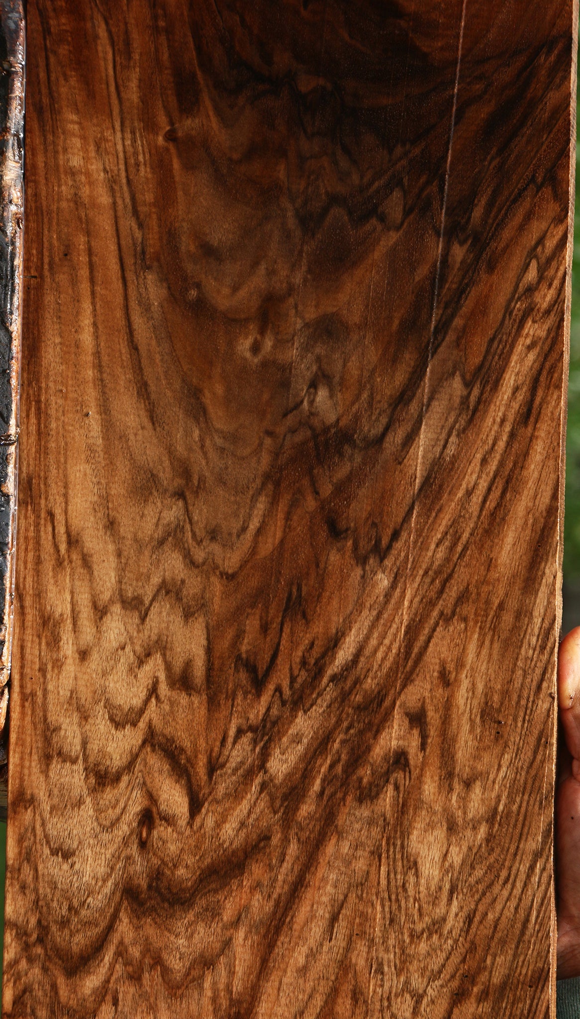 Extra Fancy Grafted Claro/English Walnut Lumber