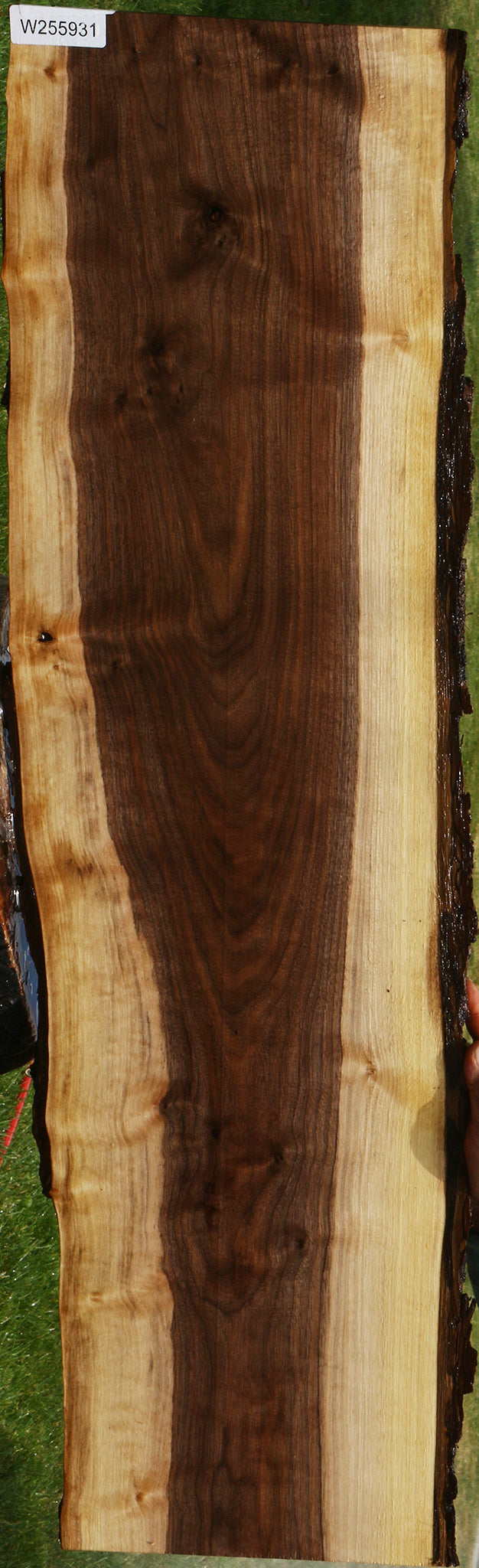 Figured Claro Walnut Live Edge Lumber