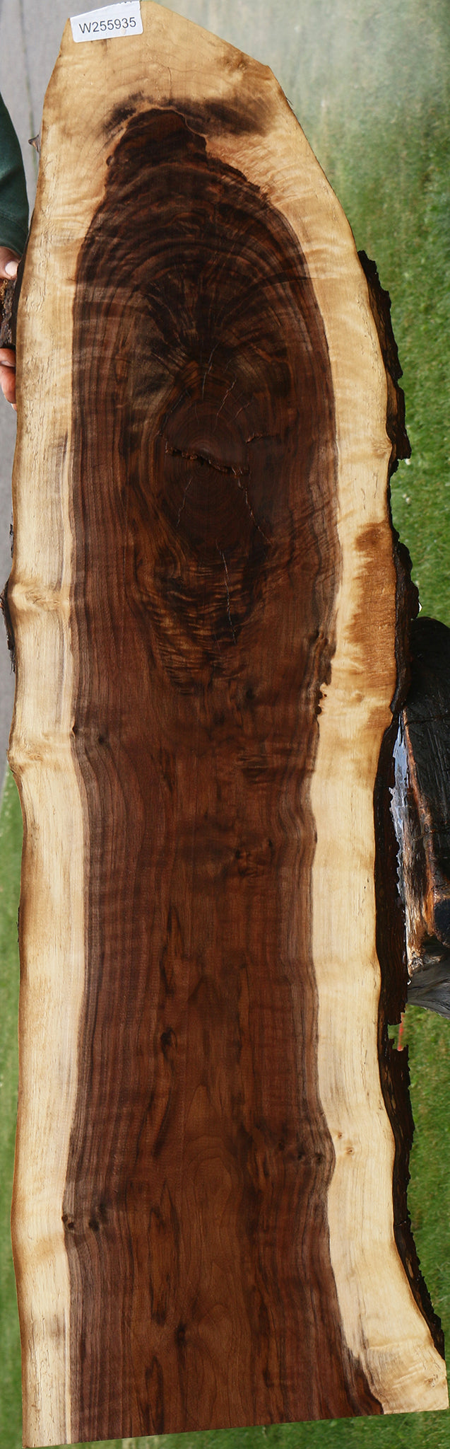 Figured Claro Walnut Live Edge Lumber
