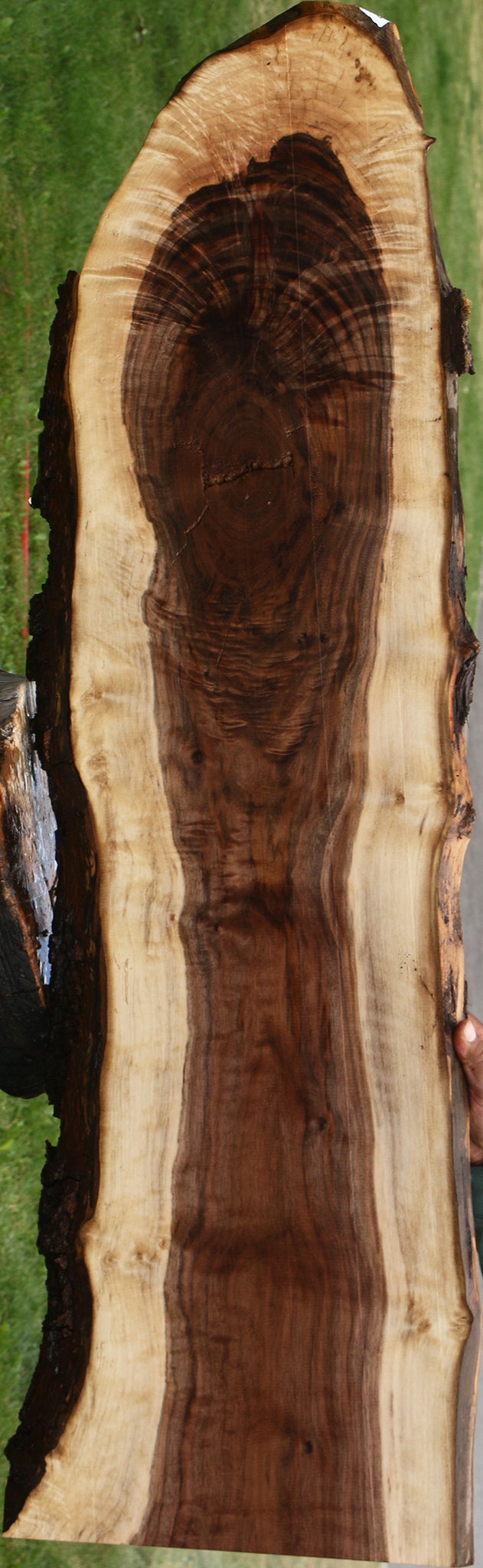 Figured Claro Walnut Live Edge Lumber