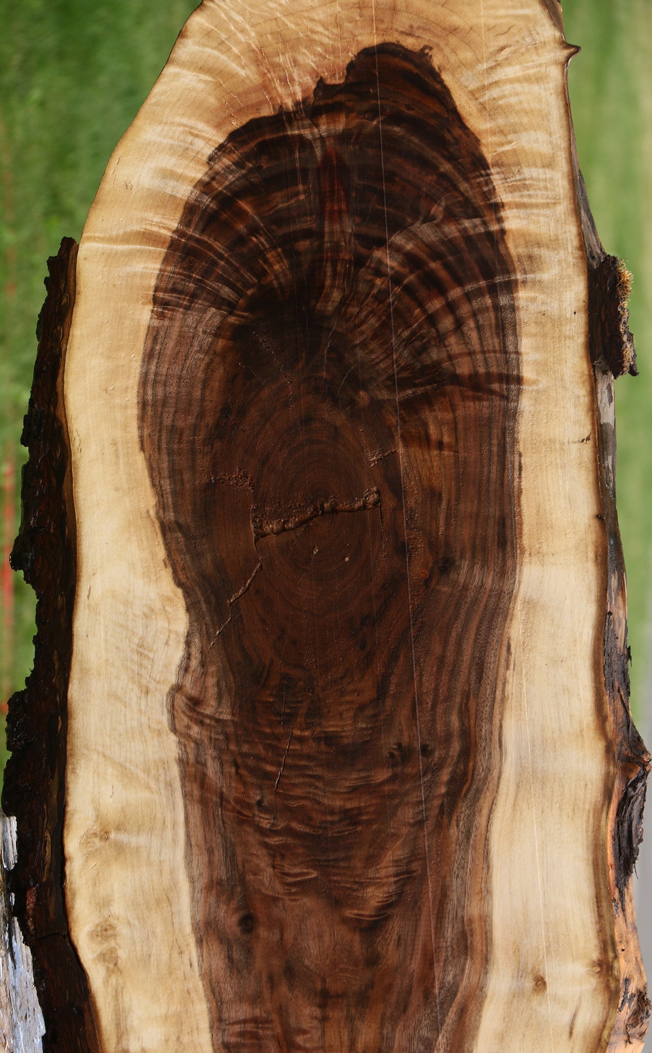 Figured Claro Walnut Live Edge Lumber