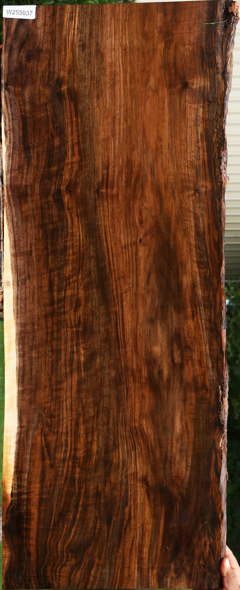 Extra Fancy Claro Walnut Live Edge Lumber
