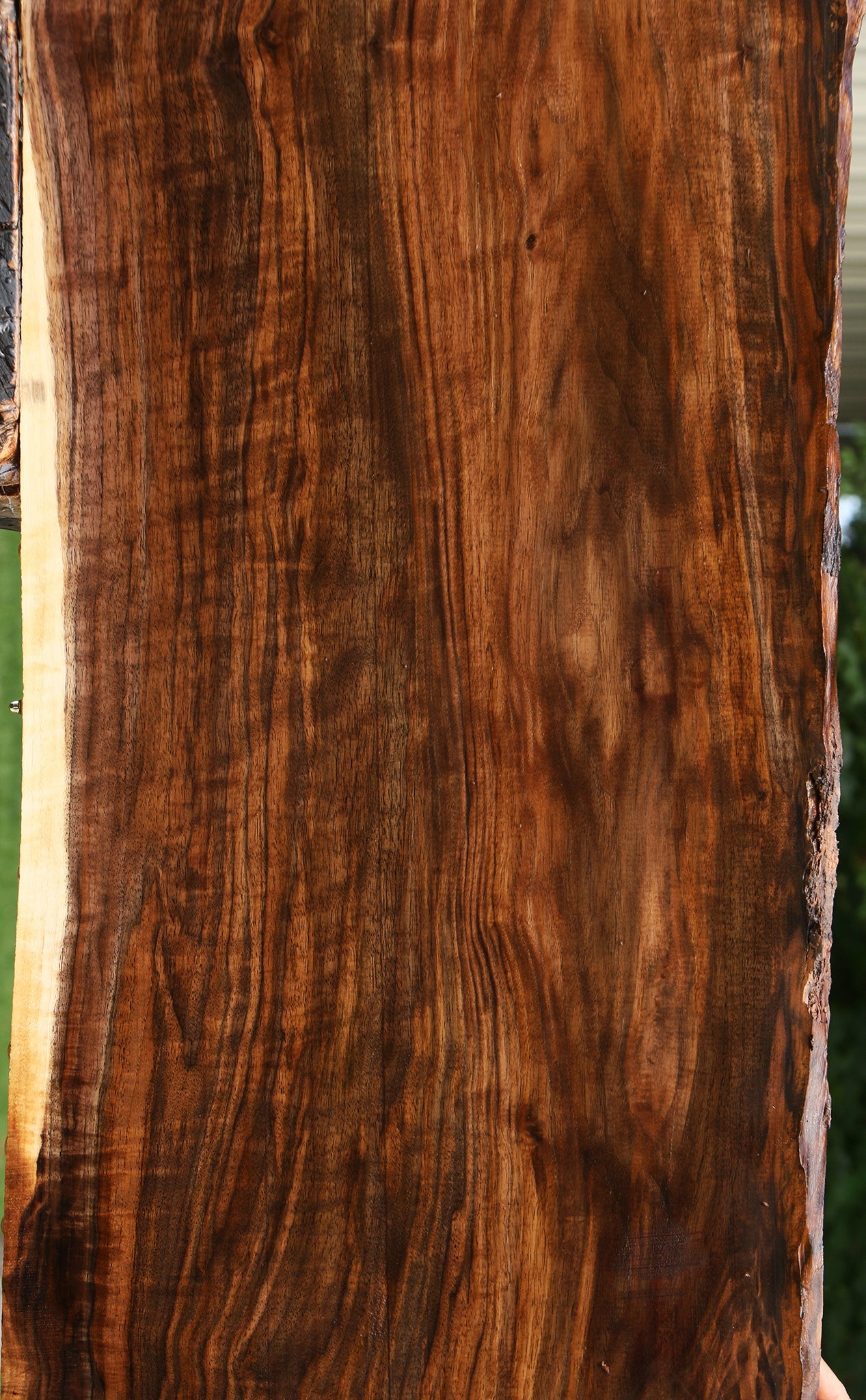 Extra Fancy Claro Walnut Live Edge Lumber