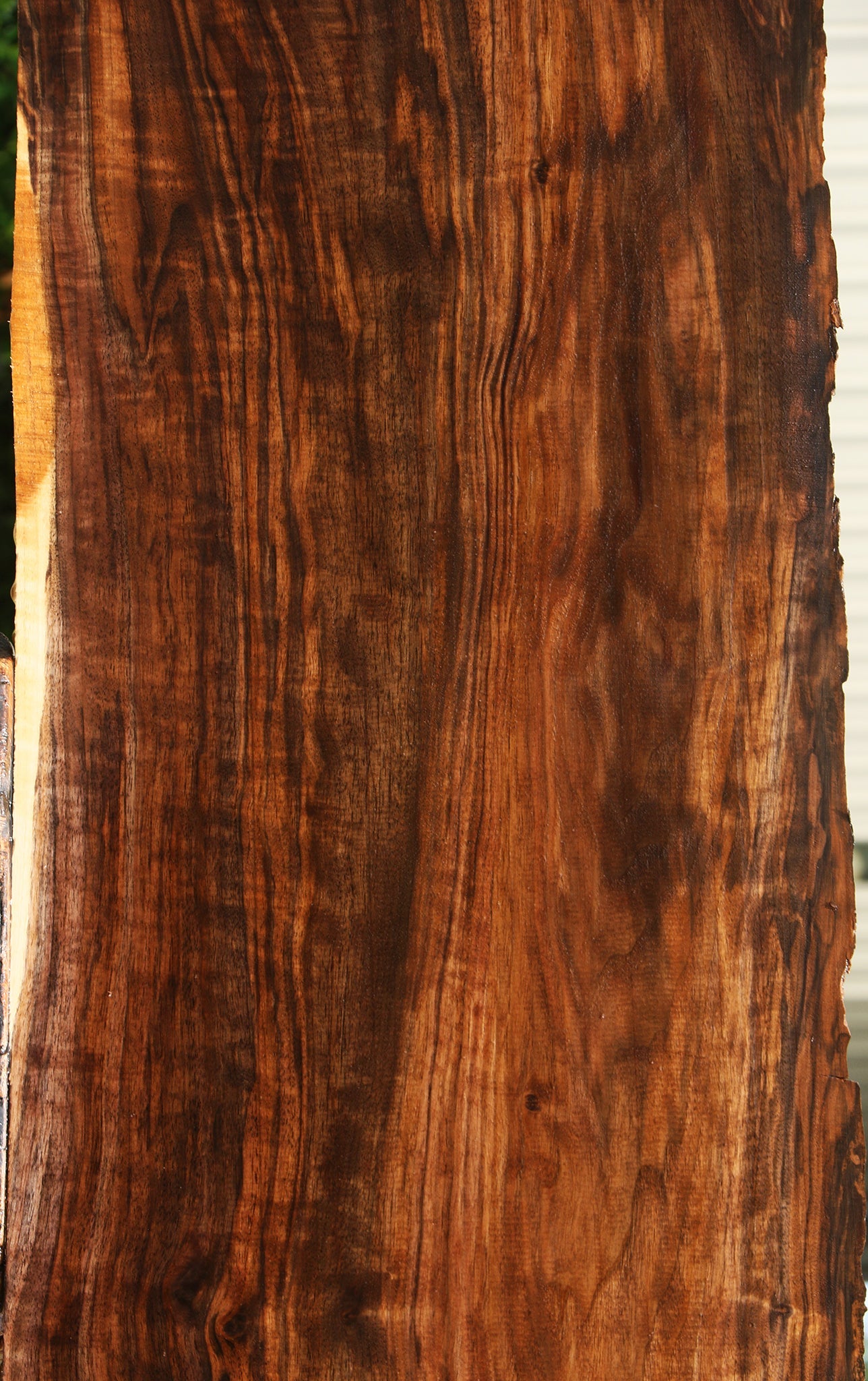 Extra Fancy Claro Walnut Live Edge Lumber