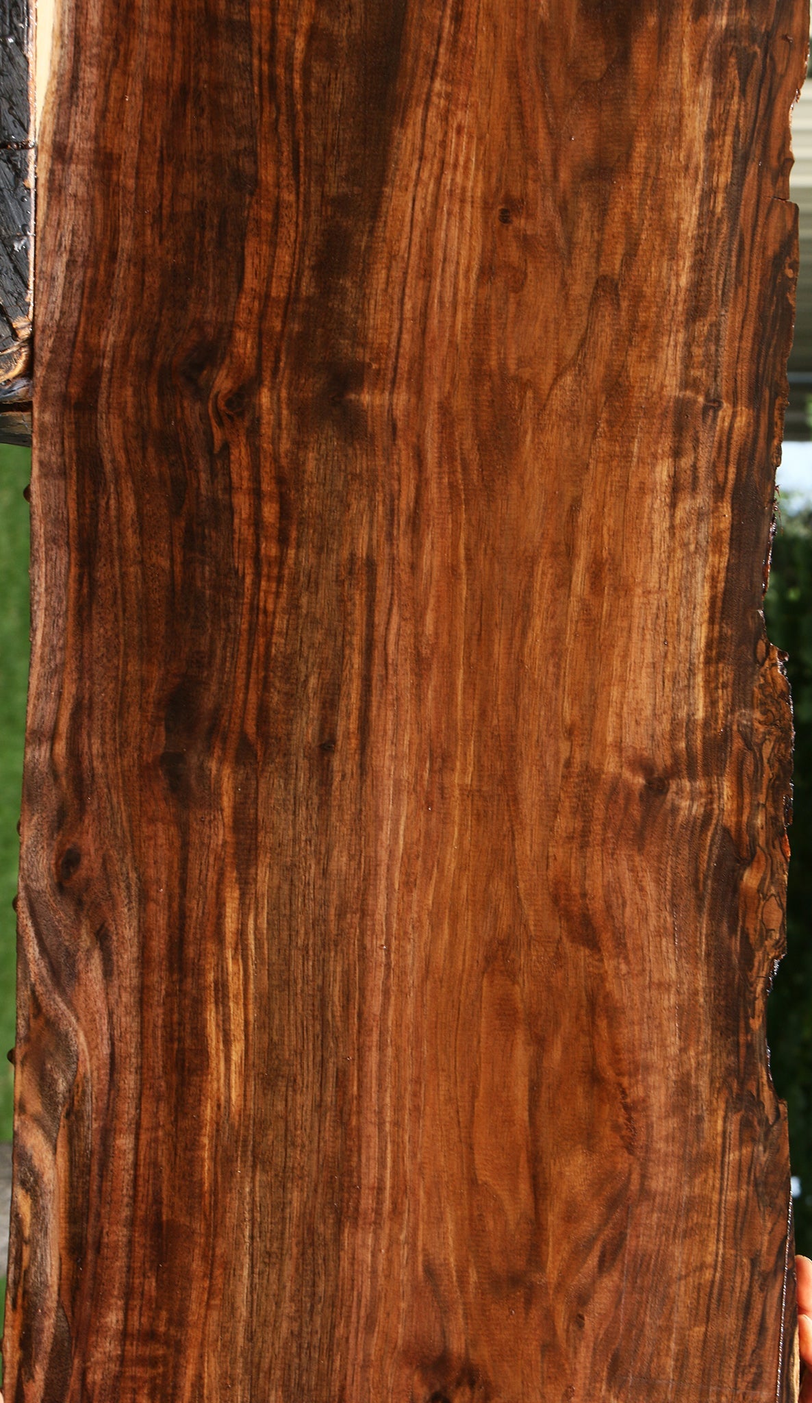 Extra Fancy Claro Walnut Live Edge Lumber
