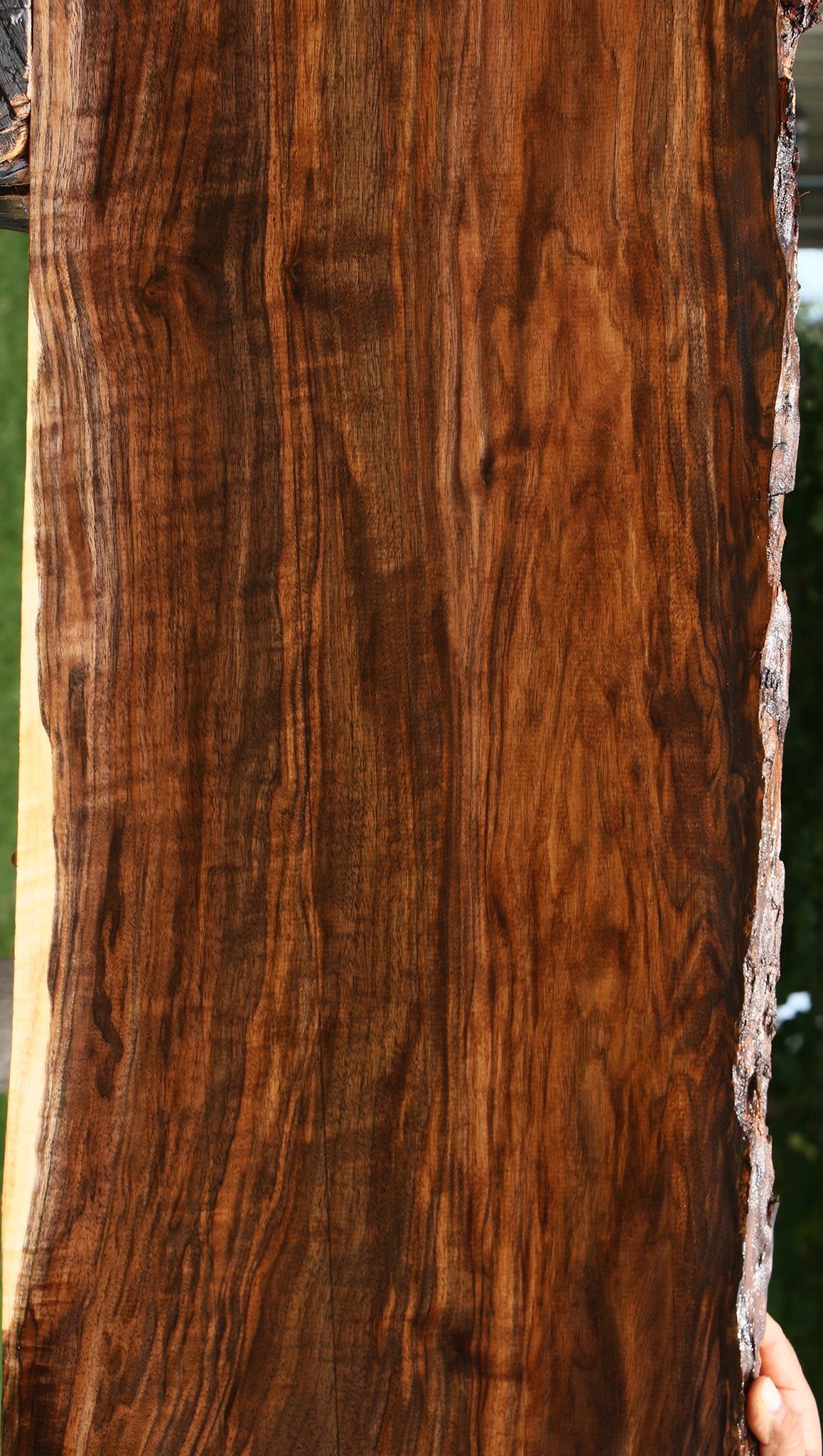 Extra Fancy Claro Walnut Live Edge Lumber