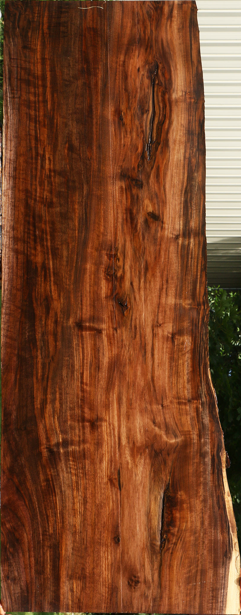 Extra Fancy Claro Walnut Live Edge Lumber