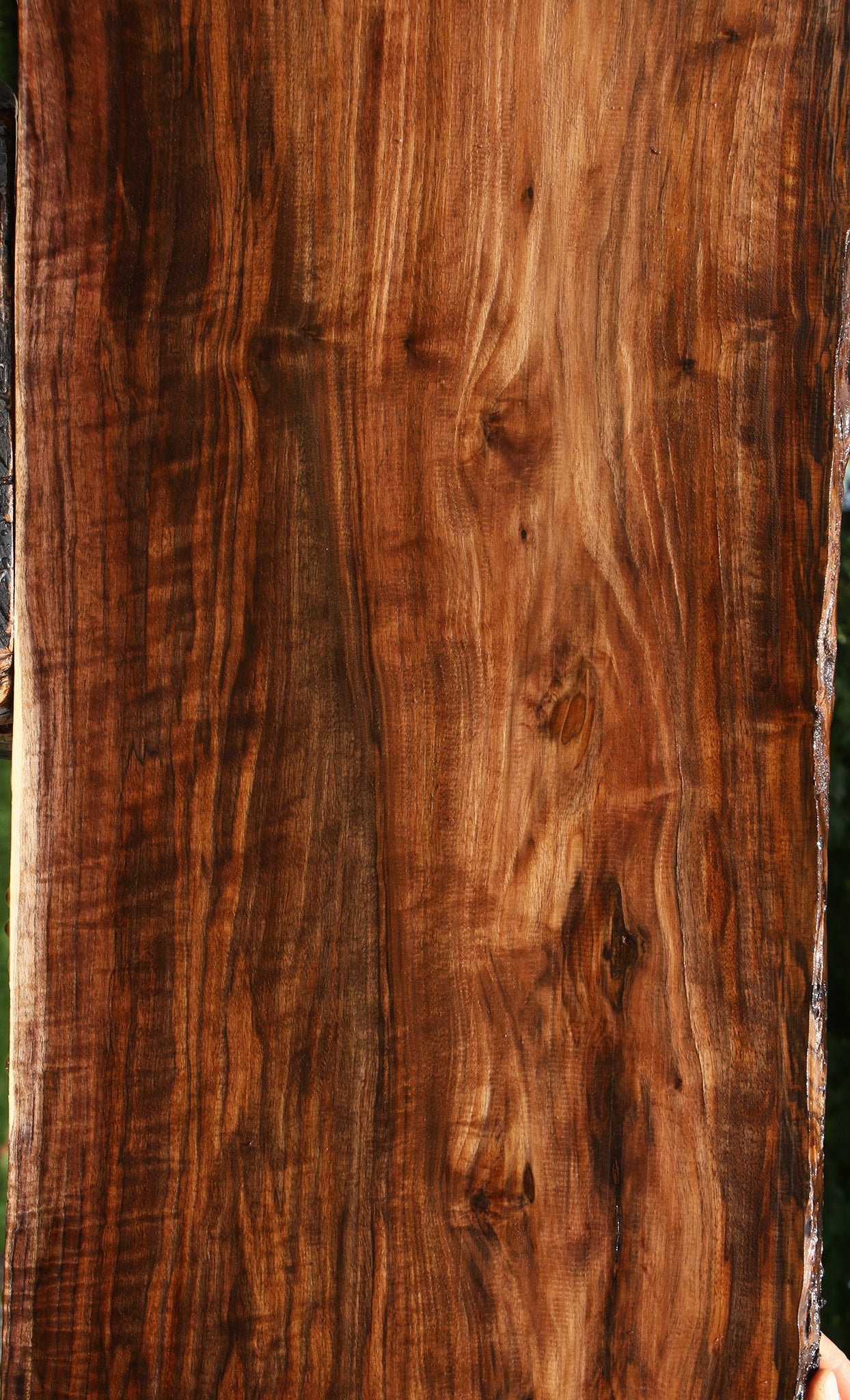 Extra Fancy Claro Walnut Live Edge Lumber