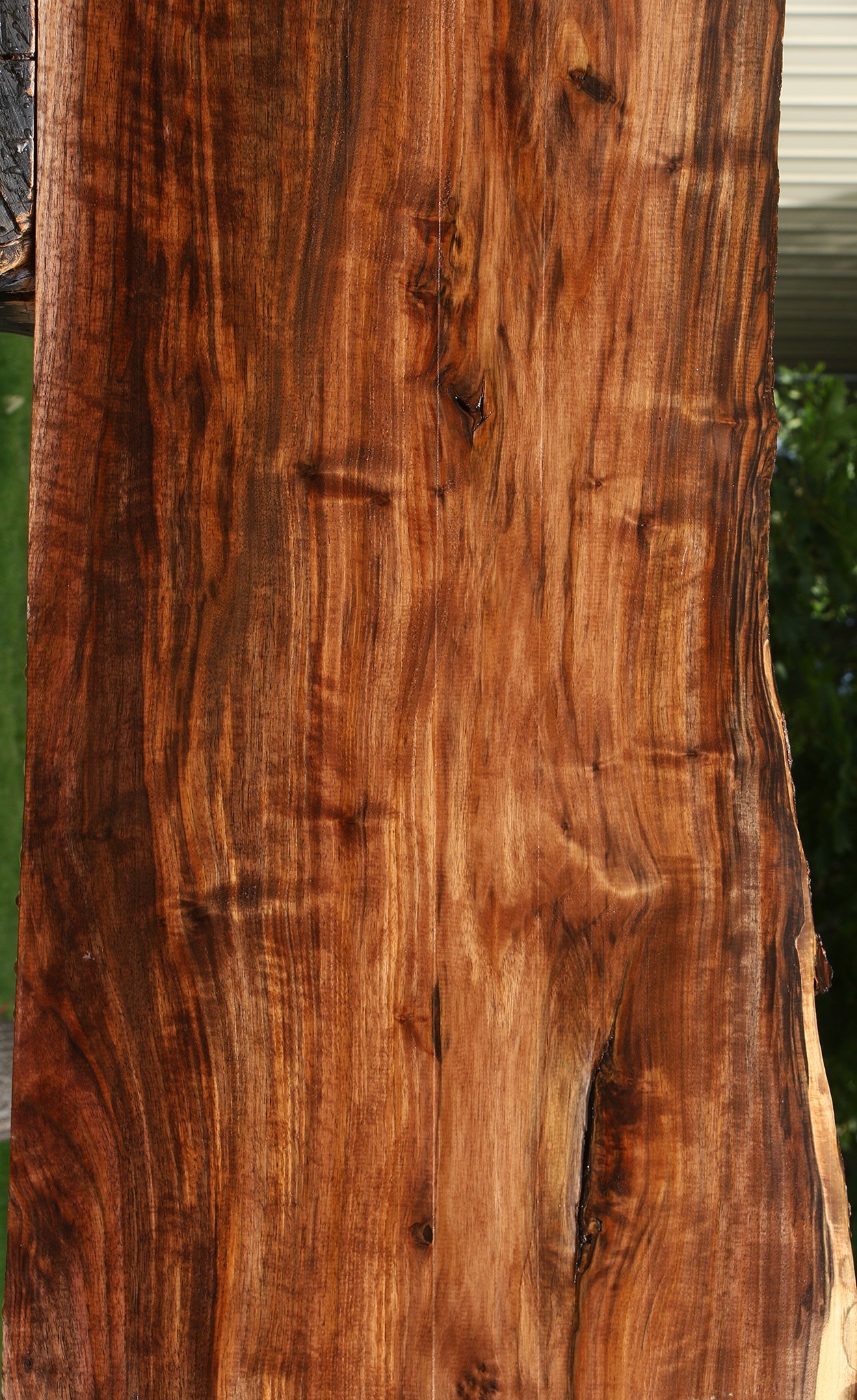 Extra Fancy Claro Walnut Live Edge Lumber