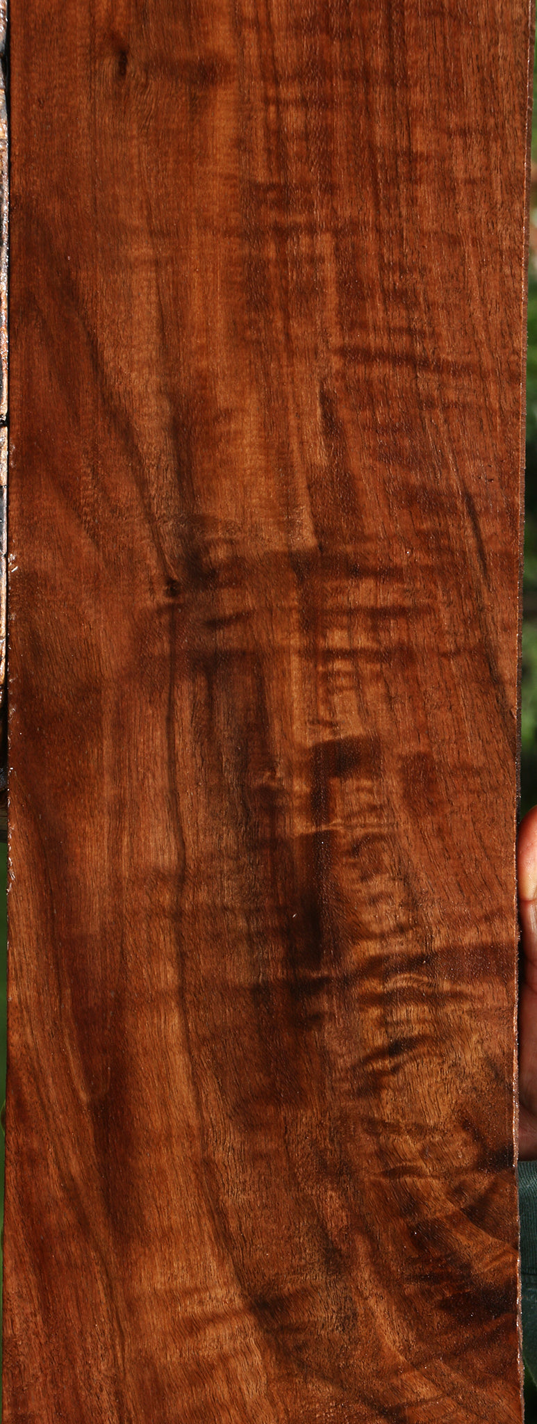 Extra Fancy Claro Walnut Lumber