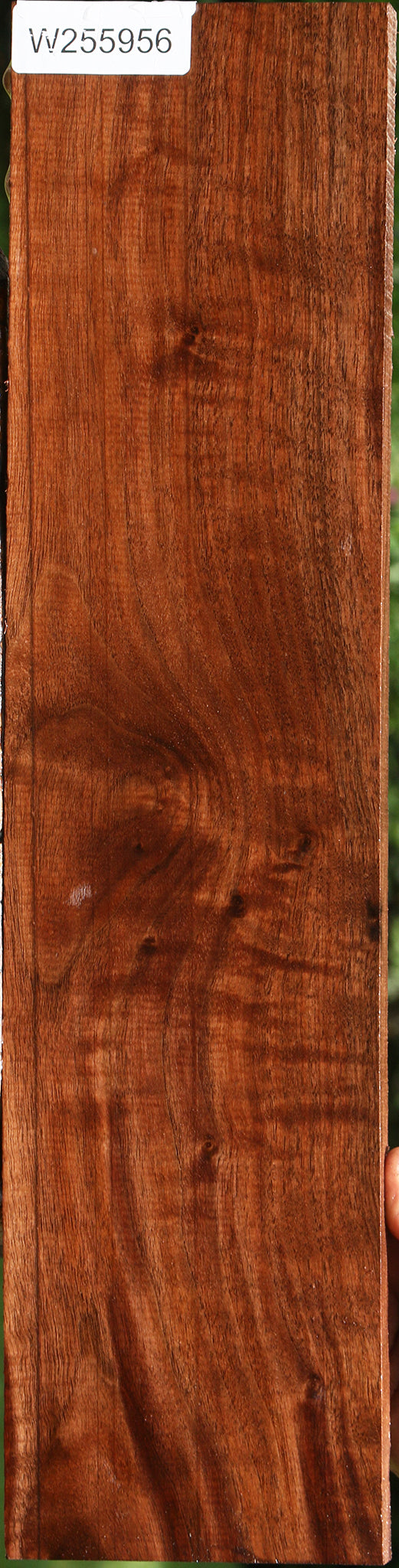 Figured Claro Walnut Lumber
