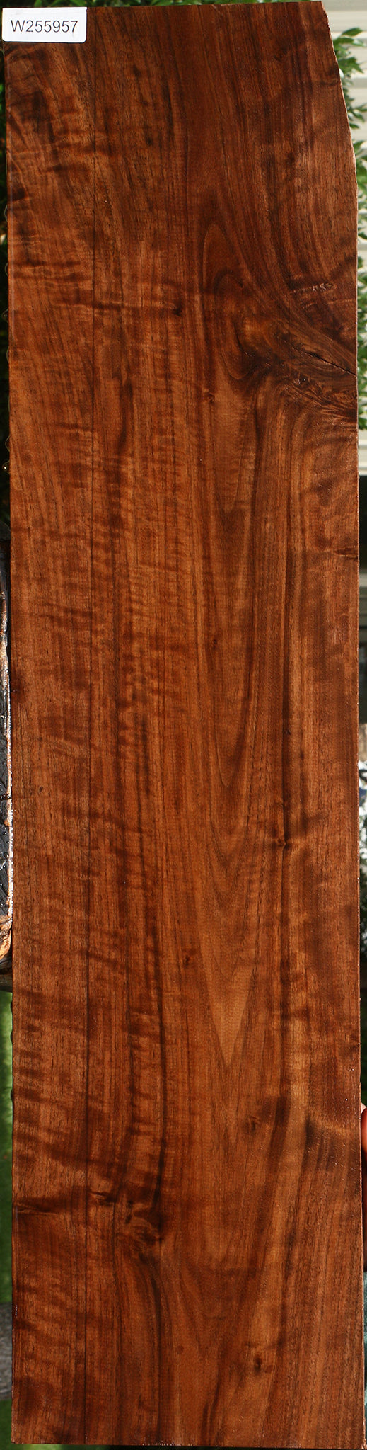 Extra Fancy Claro Walnut Lumber
