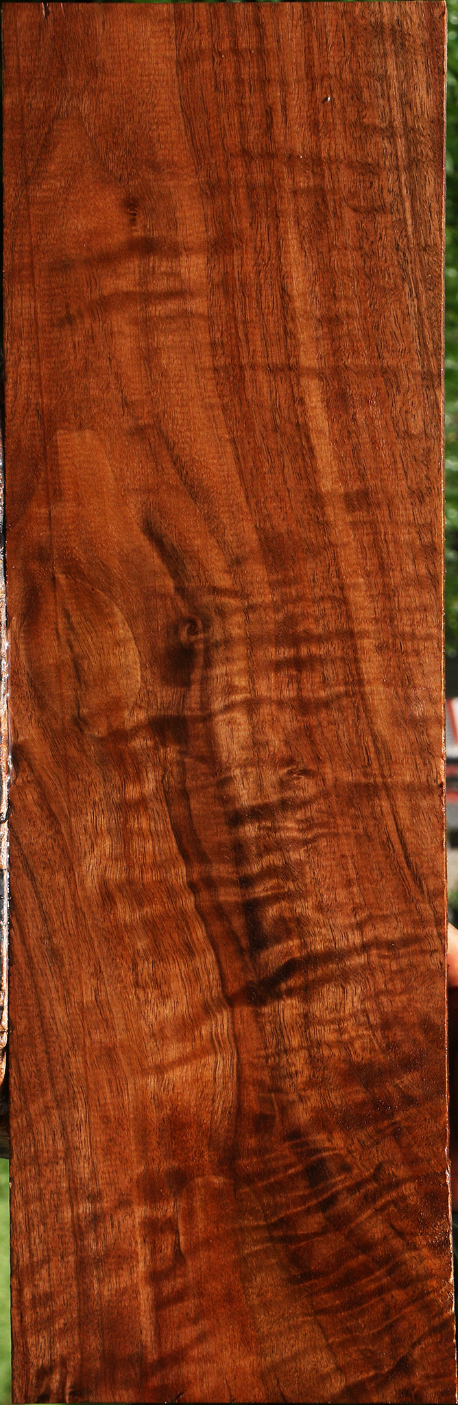 Extra Fancy Claro Walnut Electric Guitar Drop Top Billet