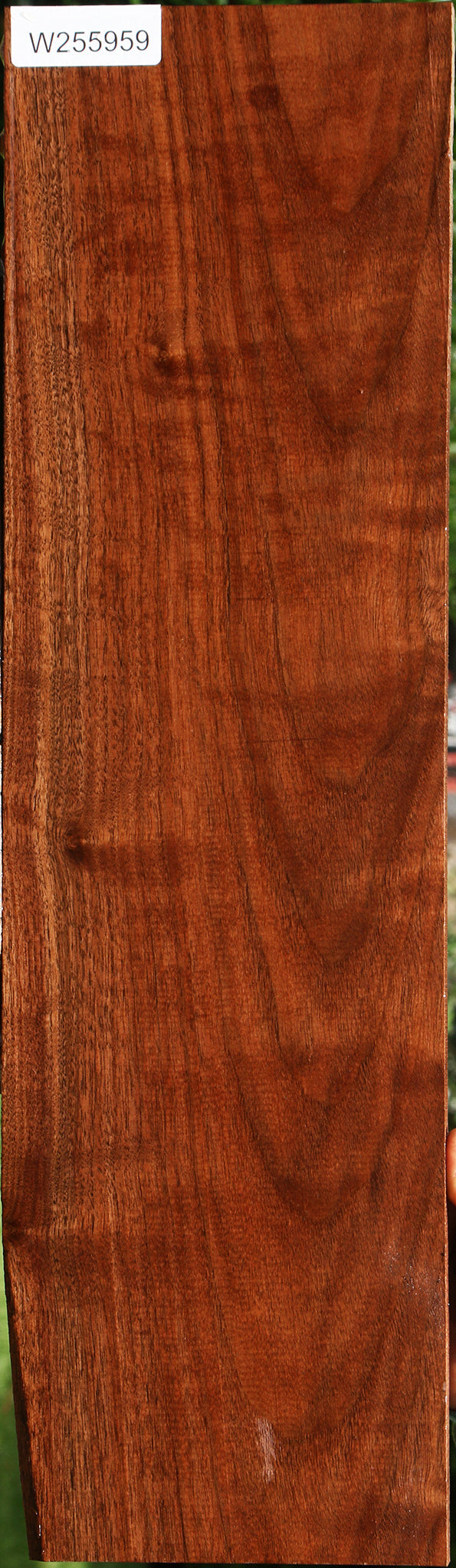 Figured Claro Walnut Lumber