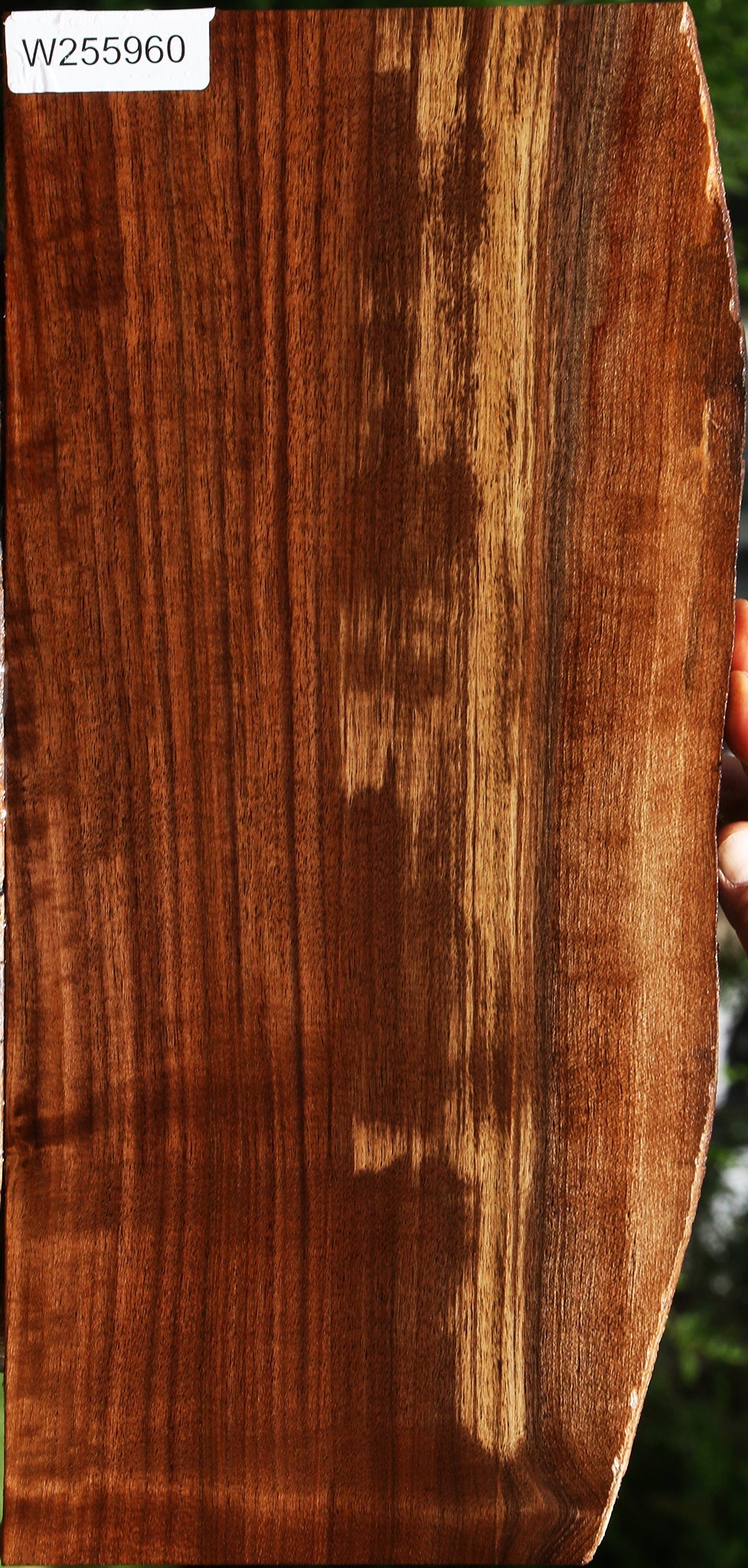 Figured Claro Walnut Live Edge Lumber