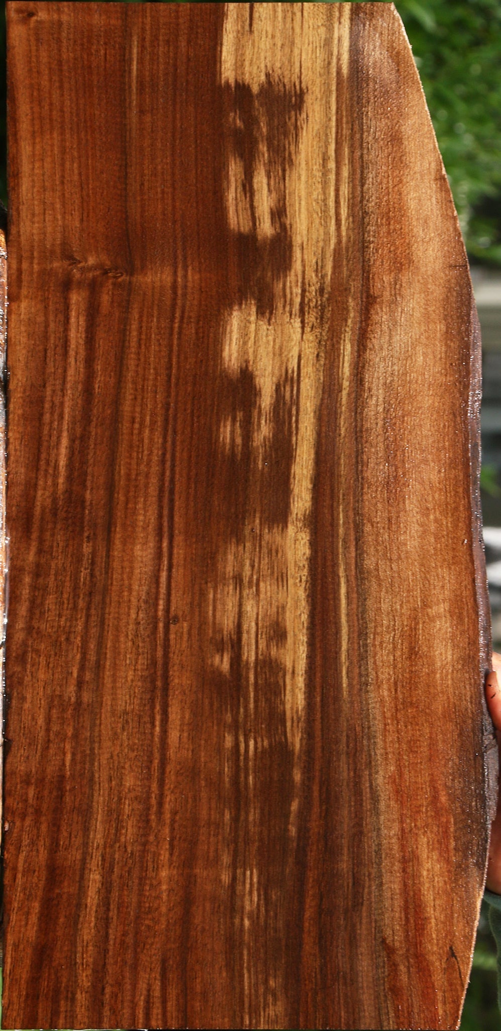 Figured Claro Walnut Live Edge Lumber