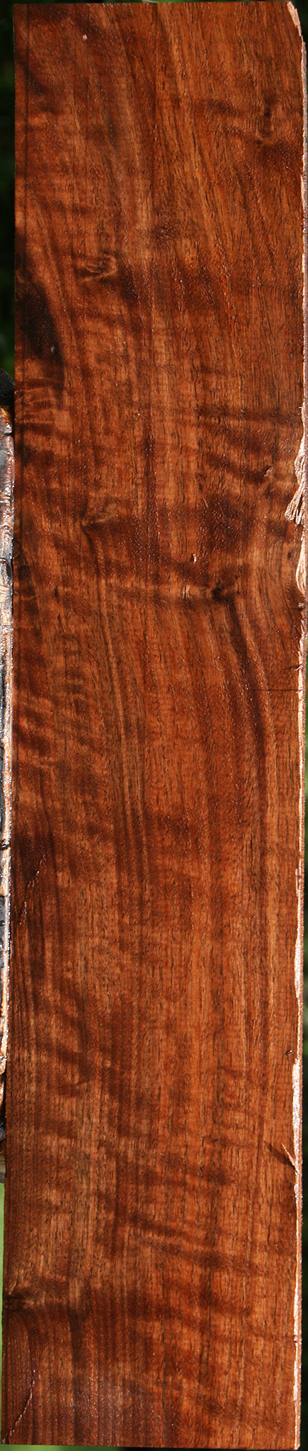 Extra Fancy Claro Walnut Lumber