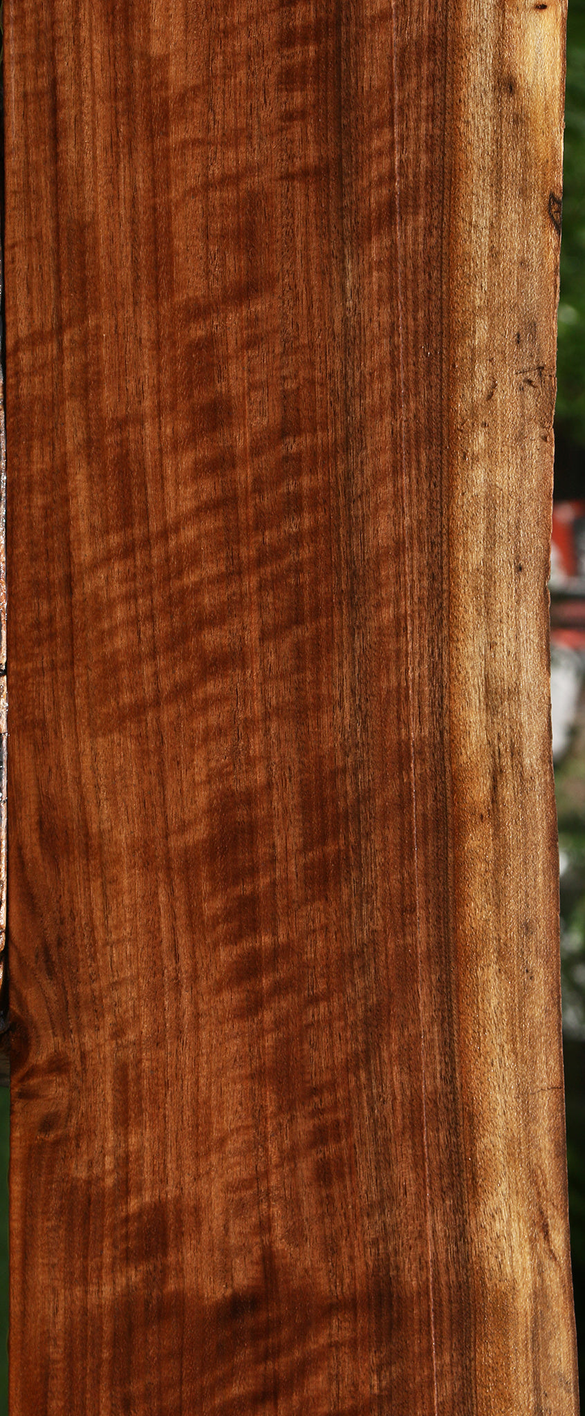 Extra Fancy Claro Walnut Live Edge Lumber
