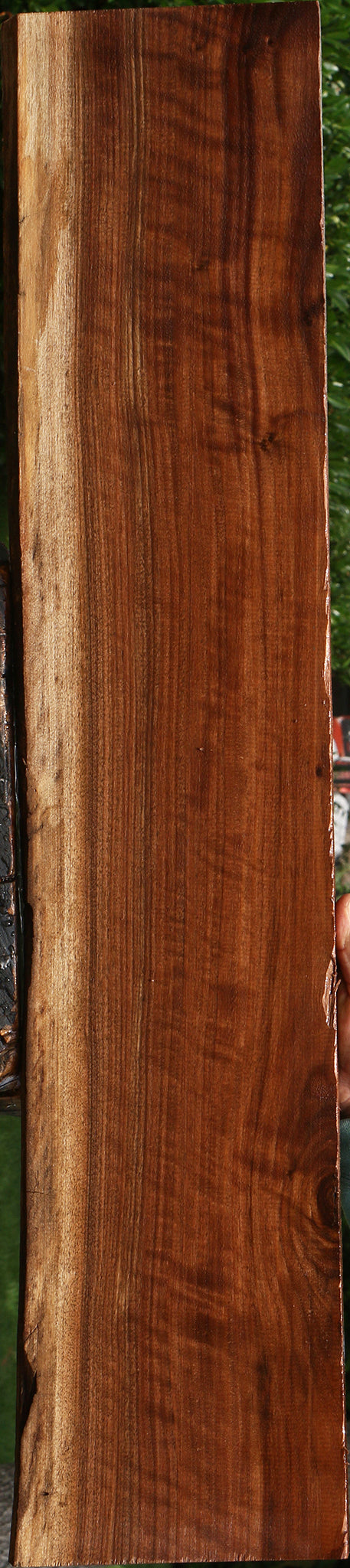 Extra Fancy Claro Walnut Live Edge Lumber