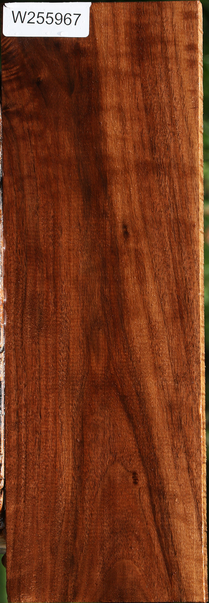 Figured Claro Walnut Lumber