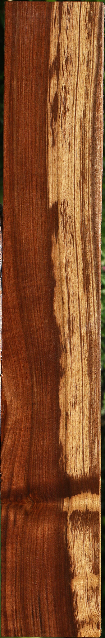 Figured Claro Walnut Lumber