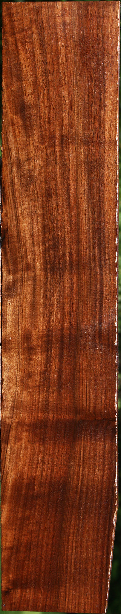 Figured Claro Walnut Lumber