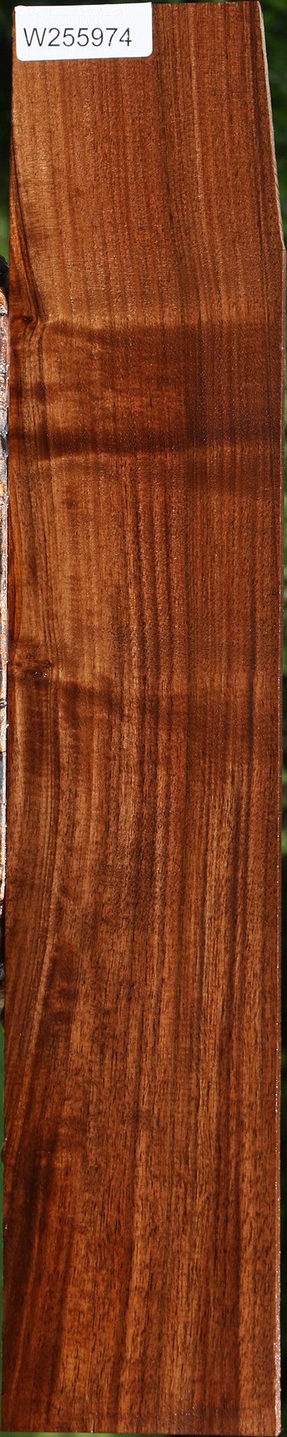 Figured Claro Walnut Lumber